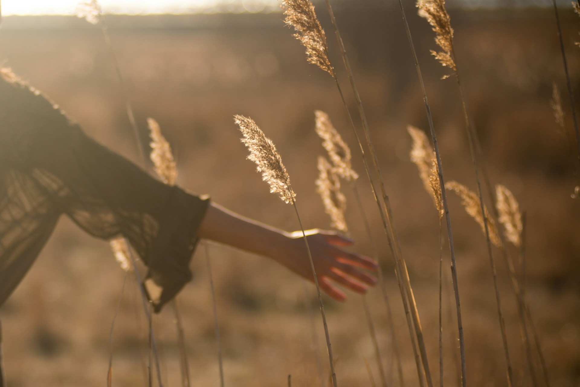 A woman’s hand glides through golden meadow grass at sunset, capturing a moment of rest, slowing down, stillness, and sacred presence in nature.