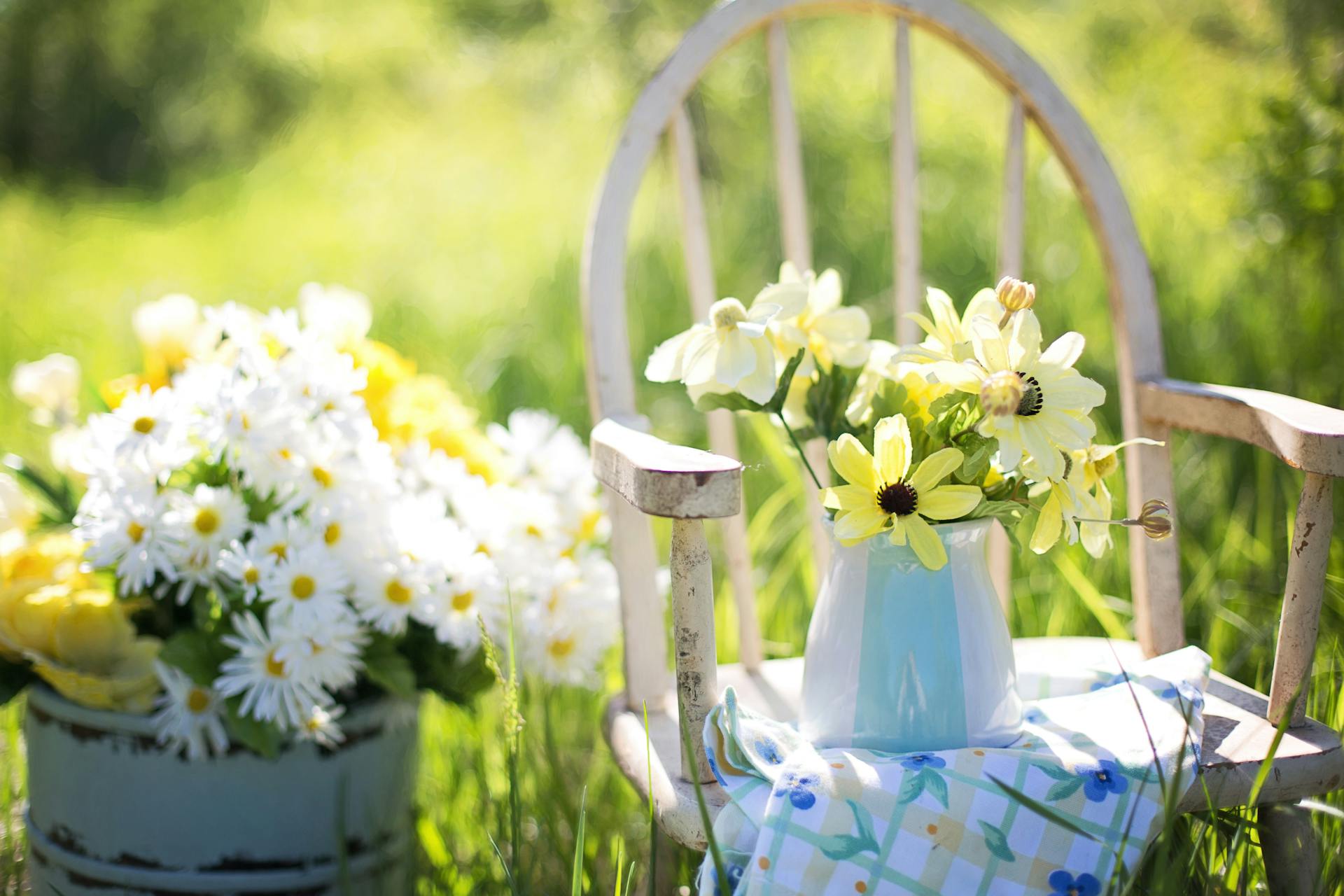 Even ordinary moments reveal holiness — sunlight and wildflowers in everyday life.