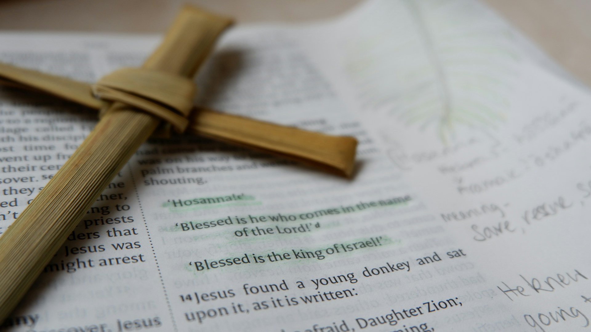 Close-up of an open Bible displaying a verse with the word Hosanna, representing Palm Sunday and a Christian reflection on praise, surrender, and salvation