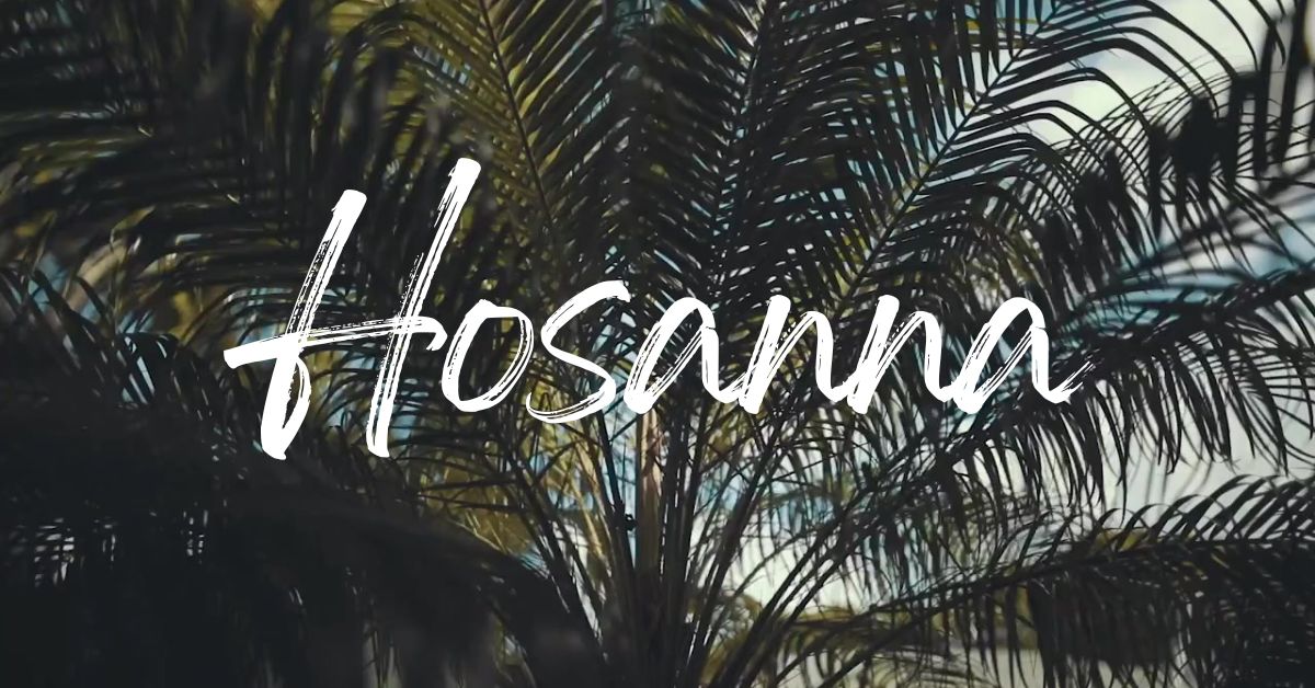 Palm Sunday palm fronds with soft natural light representing Hosanna, a Christian reflection on praise and surrender