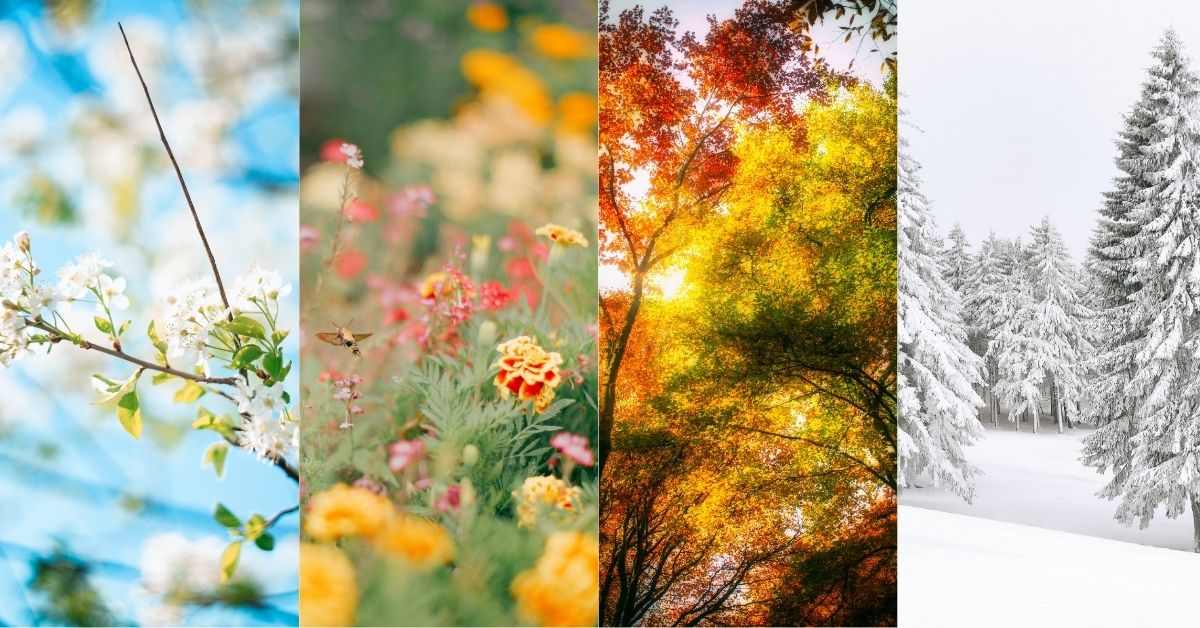 Seasons of faith represented through nature’s four seasons: spring flowers, summer blooms, autumn foliage, and winter snow-covered trees.